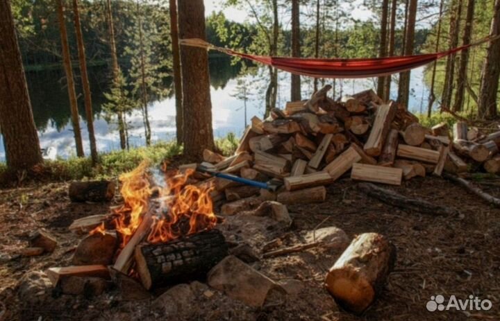 Дрова колотые дуб