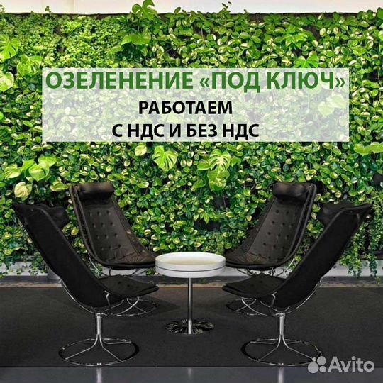 Фитостены / искусственные растения