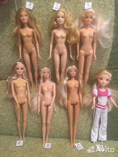 Барби, тела, головы