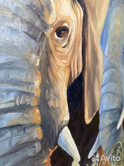 Картина маслом на холсте Слоны на закате