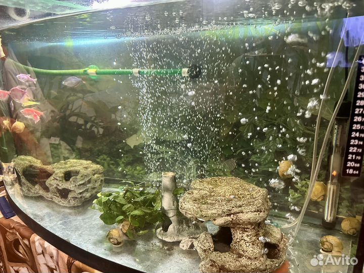 Фильтр для аквариума внешний eheim