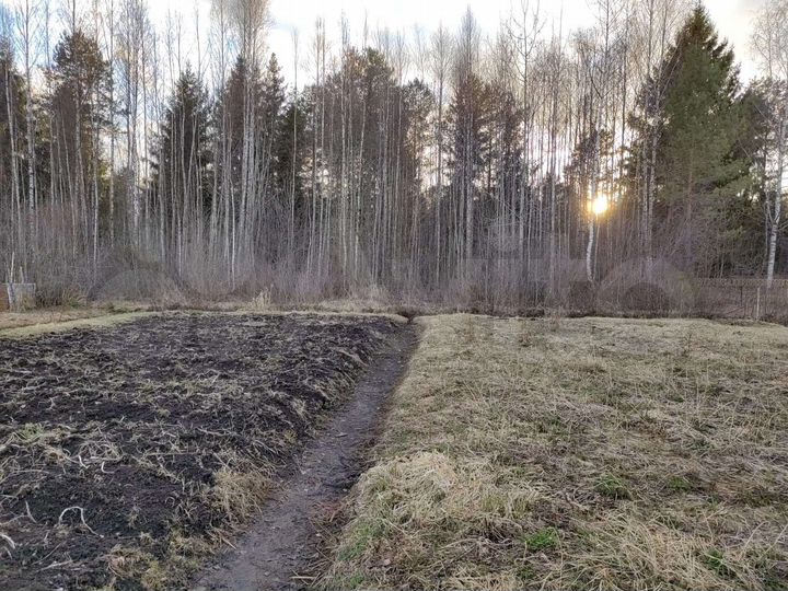Участок 6 сот. (СНТ, ДНП)