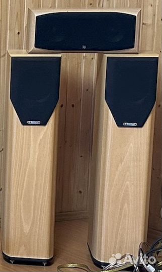 Акустическая система