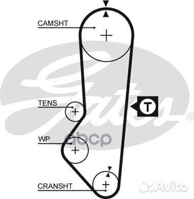 Ремень грм 097x216H Ford Escort/Orion/Fiesta 1.6