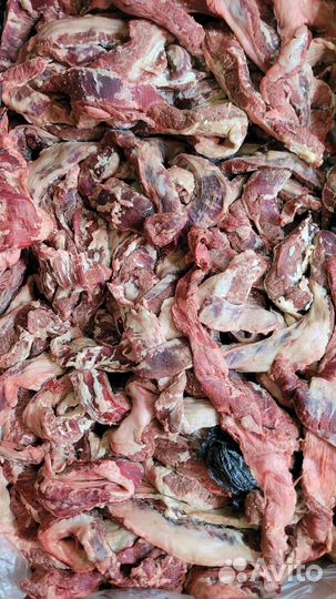Мясо некондиция