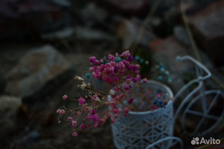 Объектив nikon 24 mm D