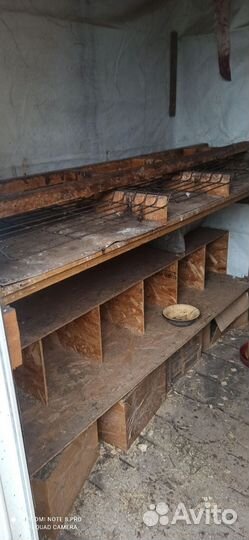 Курятник для кур