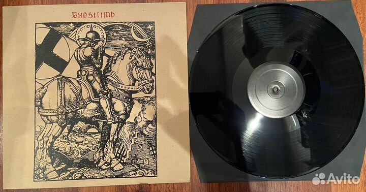 Винил Ghostlimb
