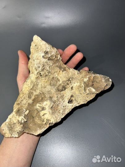 Пещерный оникс (кальцит)