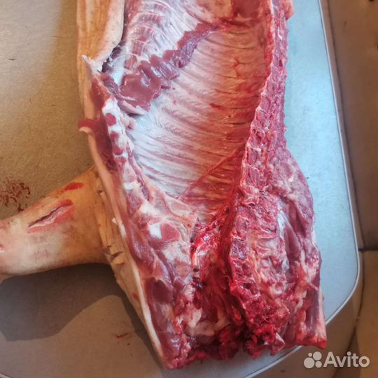 Домашнее мясо свинины