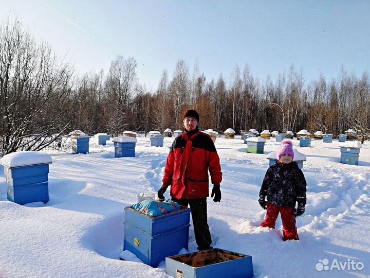 Мёд без сахара, натуральный мед без сахара