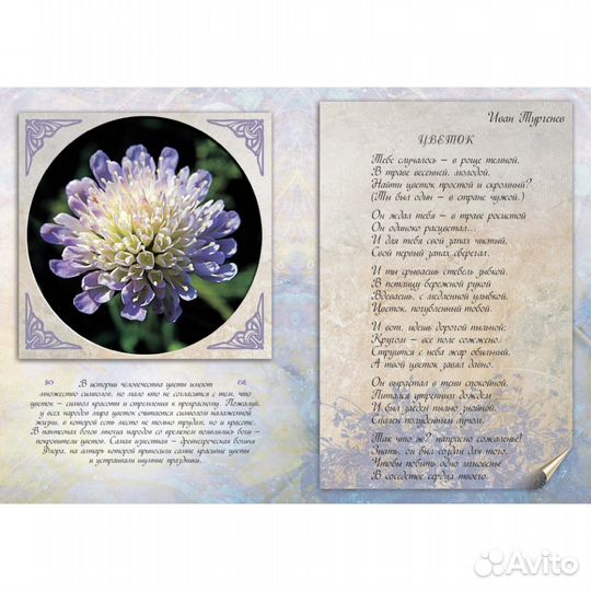 Цветы к празднику. Брошюра-открытка