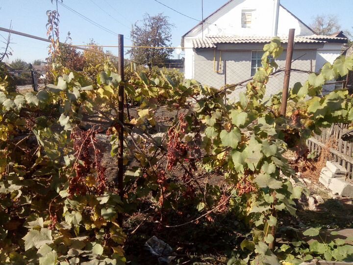 Дом 40 м² на участке 6 сот.