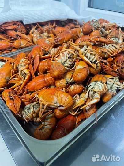 Раки варёные
