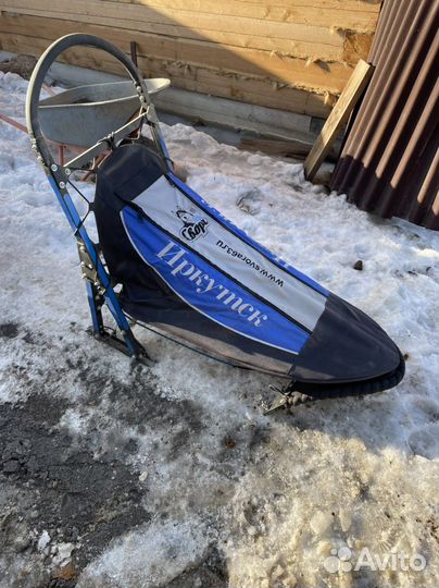 Нарты для собак