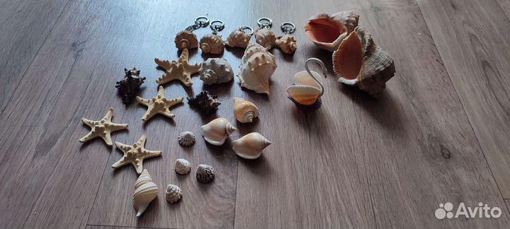 Набор ракушек и брелков