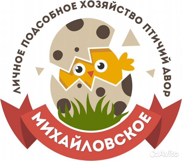 Фабричное инкубационное яйцо на 2023 год. Доставка