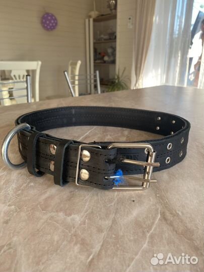 Ошейник для собак