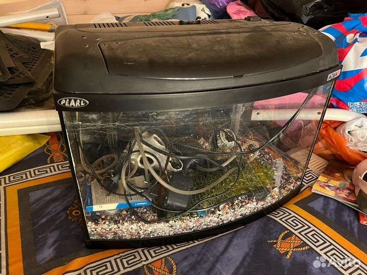 Аквариум со всем содержимым