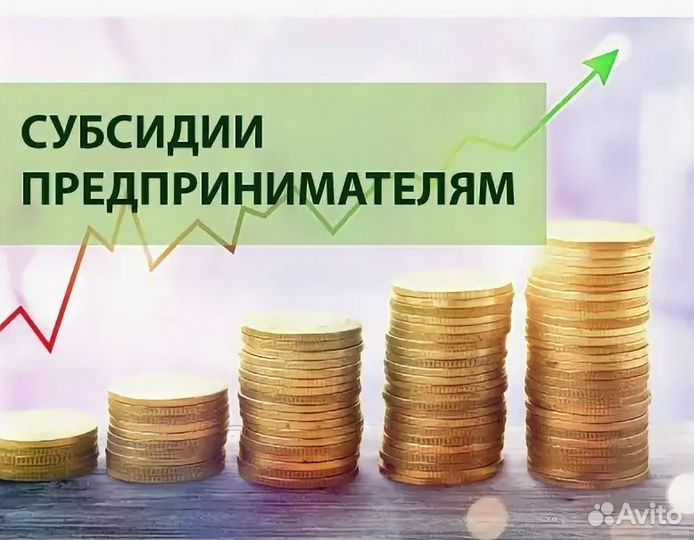 Помощь в получении субсидий на бизнес