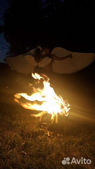 Крылья ангела