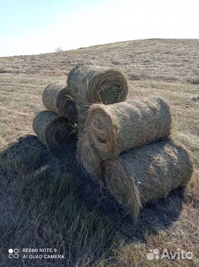 Сено луговое