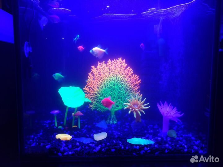Аквариум Gloxy Glow Set-27