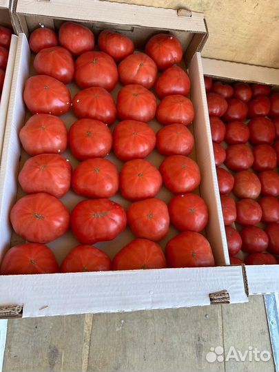 Помидоры розовые