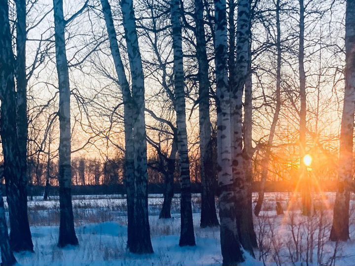 Участок 8,5 сот. (ИЖС)