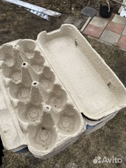 Упаковка для куриных яиц