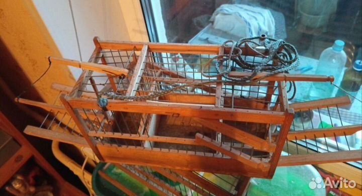 Клетка западок для ловли птиц