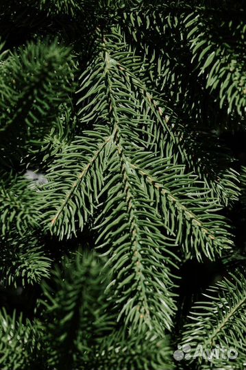 Искусственная елка «Парижанка»