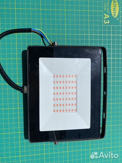 Фитолампа для растений