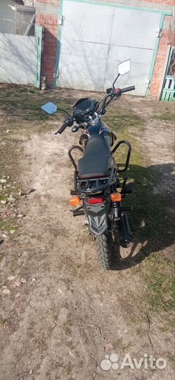Alpha Sirius Sport