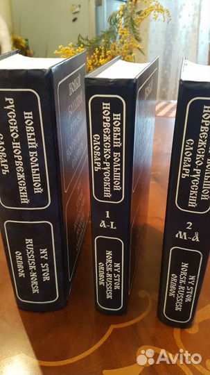 Норвежский язык- Норвежско-русский и русско-норвеж