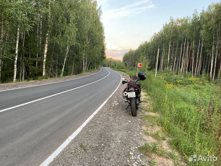 BMW f800gs
