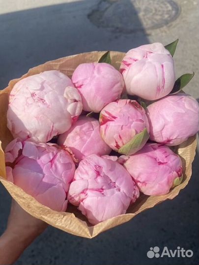 Пионы букет