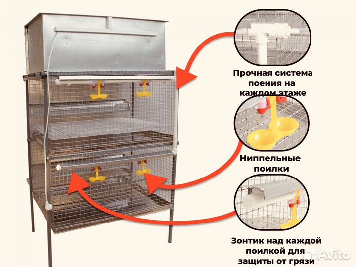 Брудер с клетками для кур Самара