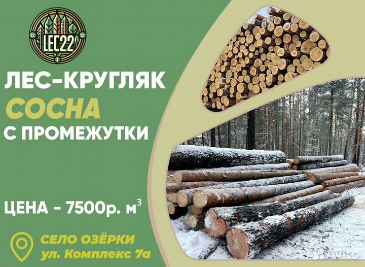 Хвоя пиловочник