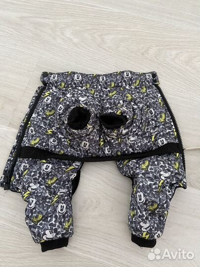 Одежда для маленькой собаки Disney mickey