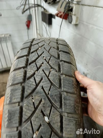 Windforce Snowblazer 185/65 R15 88H