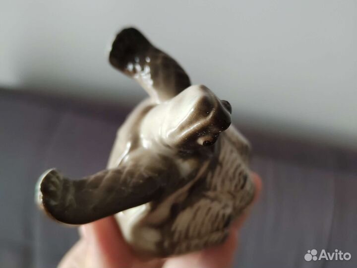 Черепаха из фарфора ищет дом