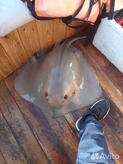 Рыбалка в Анапе