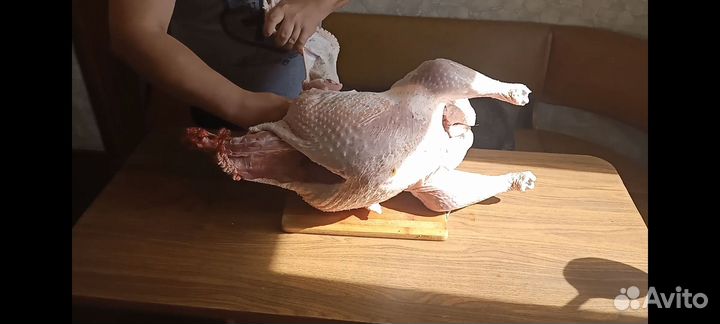 Мясо индейки