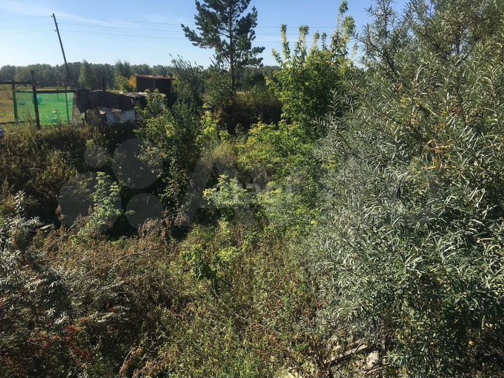 Участок 10 сот. (СНТ, ДНП)