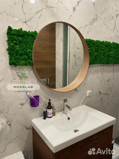 Стабилизированный мох/ озеленение