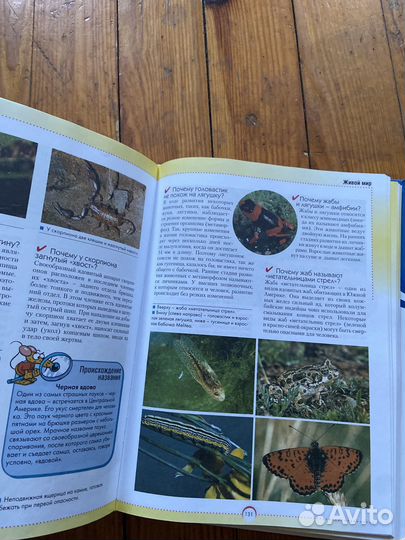 Энциклопедия Хочешь знать почему