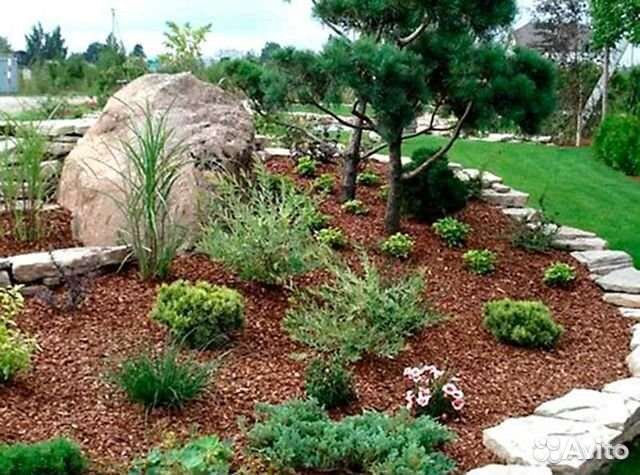 Кора сосны (мульча)