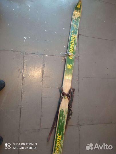 Лыжи лесные