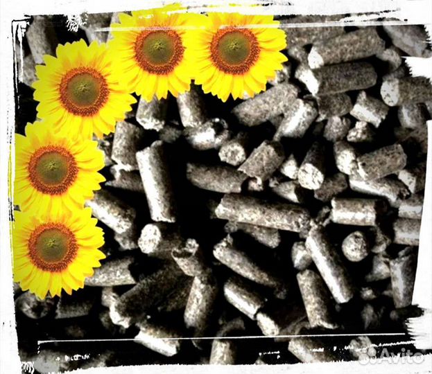 Пелеты из лузги подсолнечника